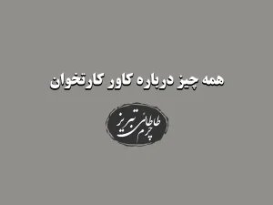 همه چیز درباره کاور کارتخوان